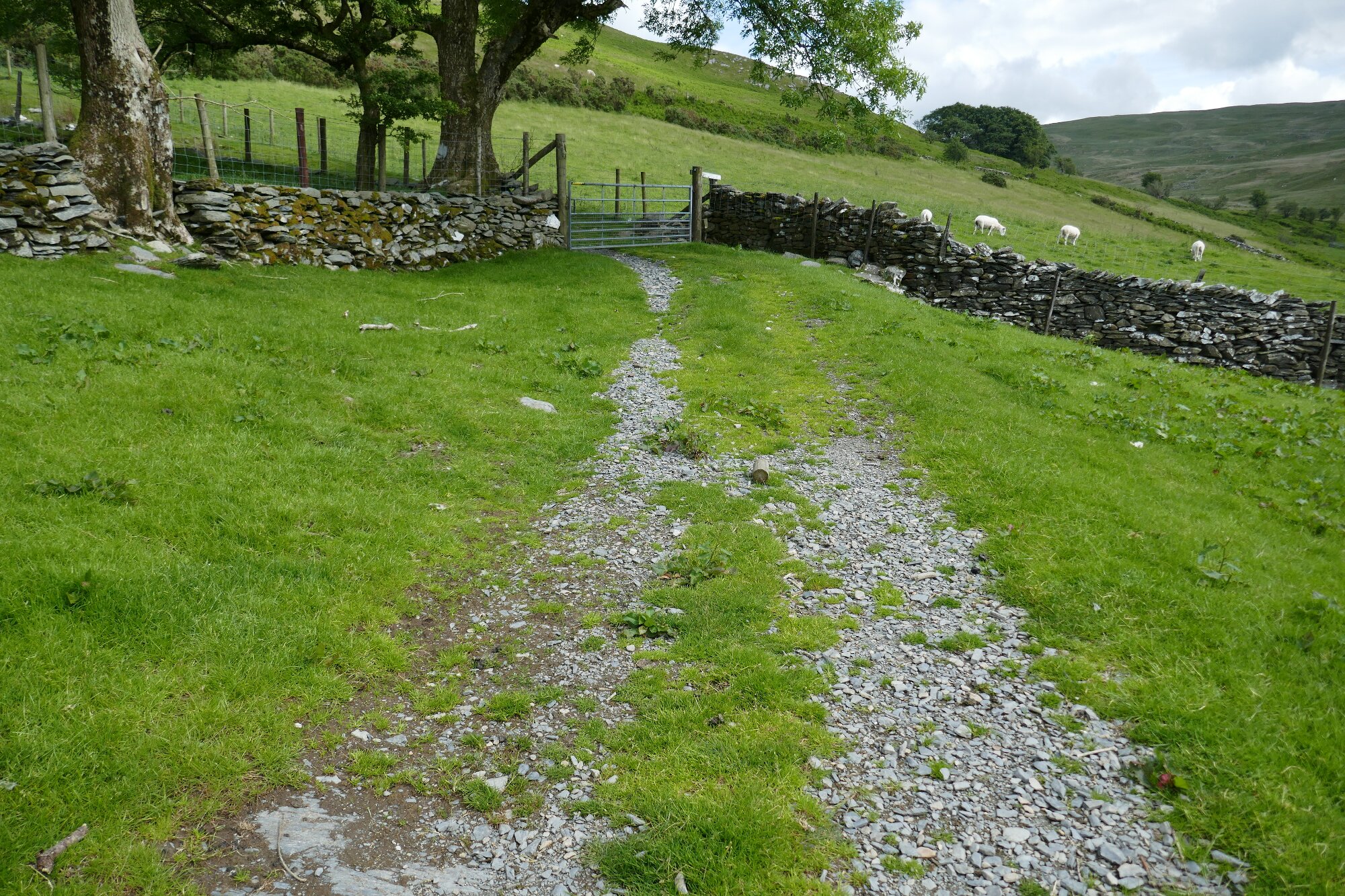 RachelSeabrook.net | Wild Walking | Cwmystwyth | pic56A